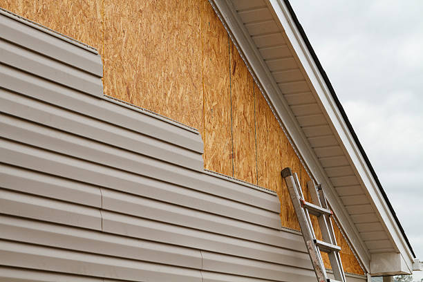 Professional Storm Damage Siding Repair technician working in Chapel Hill, TN